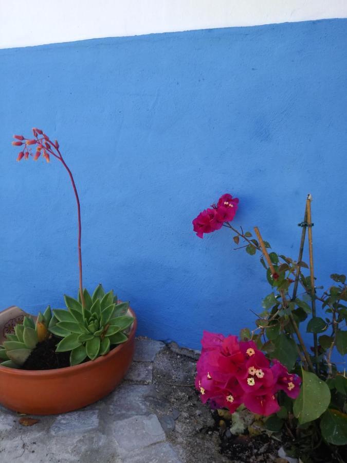 Casinha Do Sul Villa Faro Bagian luar foto